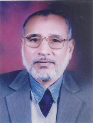 Abdelhalim Mohamed Abdelmagid